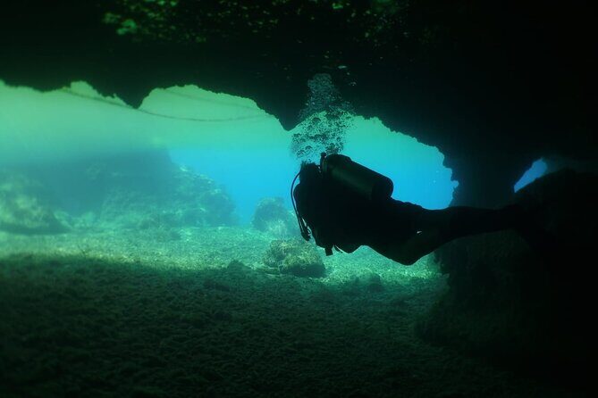 Cozumel Scuba Dive at Chankanaab - Who this scuba session suits best in Cozumel
