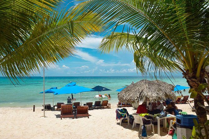 Cozumel Shore Excursion: 5-Hour Sightseeing Tour with Private Driver - San Gervasio ruins: Ixchel, commerce, and your choice of guide