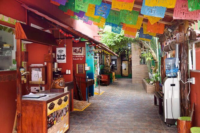 Cozumel Shore Excursion: 5-Hour Sightseeing Tour with Private Driver - El Mirador: east-coast photos and a short nature break