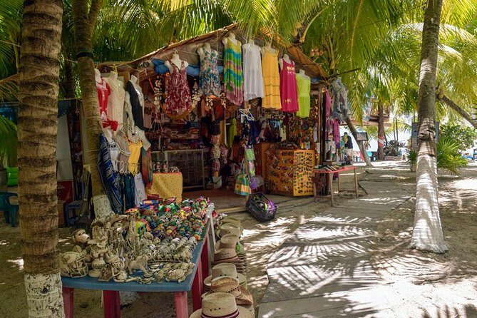 Cozumel Shore Excursion: 5-Hour Sightseeing Tour with Private Driver - How to get the most value out of this tour