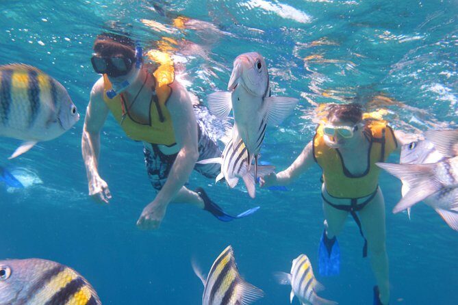Cozumel Shore Excursion: Playa Uvas Private Beach Pass - Guided snorkeling: short time, big payoff