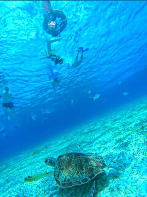 Cozumel: snorkeling on reefs + visit to "El Cielo" - Key points to know before you go