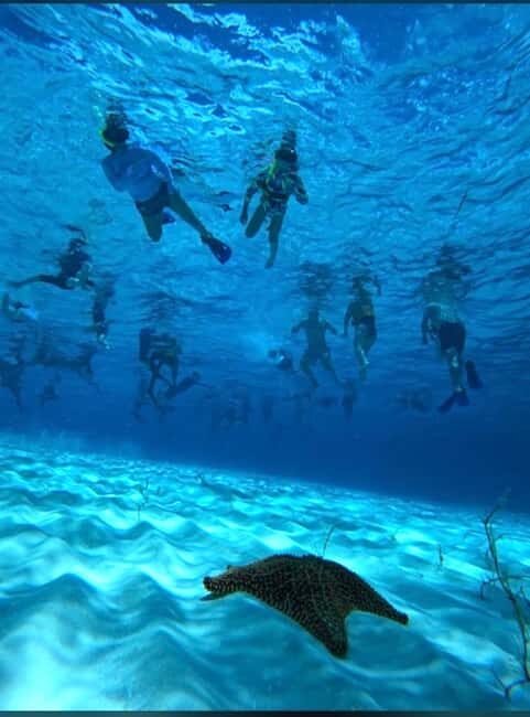 Cozumel: snorkeling on reefs + visit to "El Cielo" - Why this Cozumel reef-and-sandbar combo makes sense