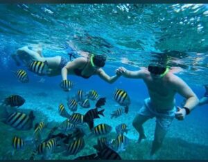 Cozumel: snorkeling on reefs + visit to "El Cielo" - Price and what you’re actually paying for (850 pesos total)