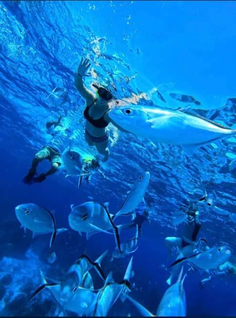 Cozumel: snorkeling on reefs + visit to "El Cielo" - Getting to the fiscal pier and finding the right module