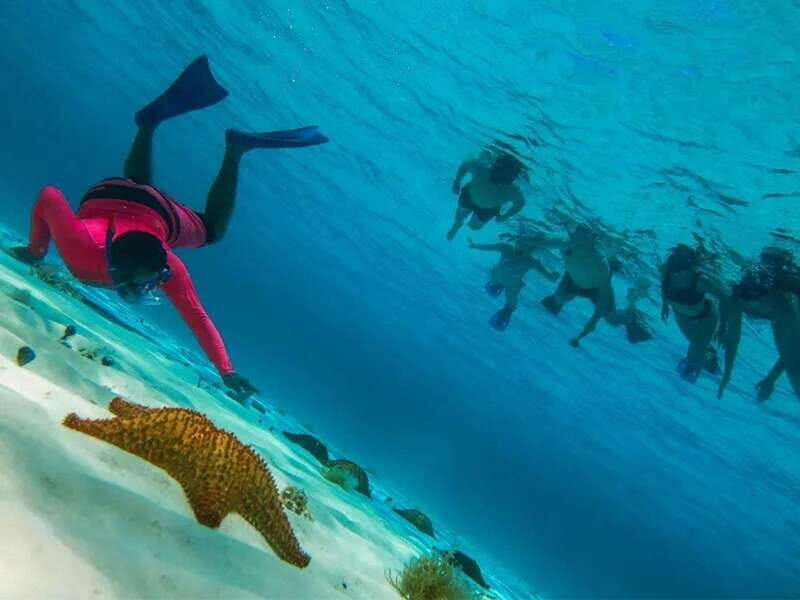 Cozumel: snorkeling on reefs + visit to "El Cielo" - Palancar Reef snorkeling: what the first stop is really for