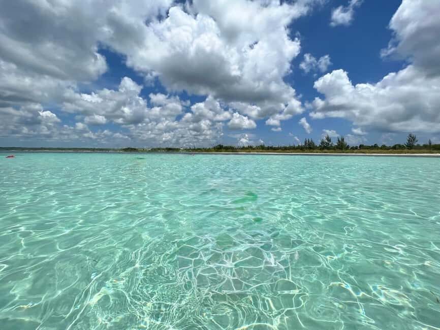 Cozumel: snorkeling on reefs + visit to "El Cielo" - El Cielo (Playa El Cielo): the sandbar that feels like a screensaver
