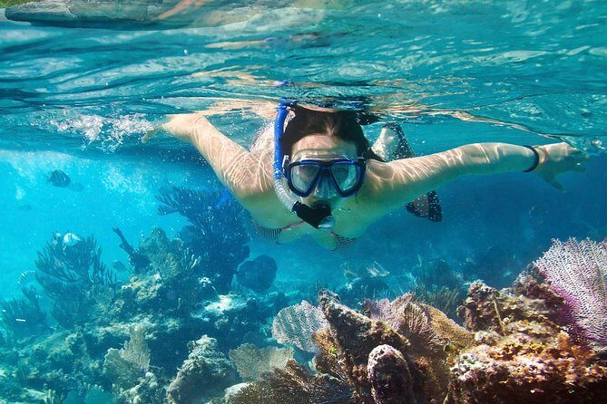 Cozumel Snorkeling Tour at Palancar & Colombia Reefs and El Cielo - Cozumel in Four Hours: The Pace and Vibe