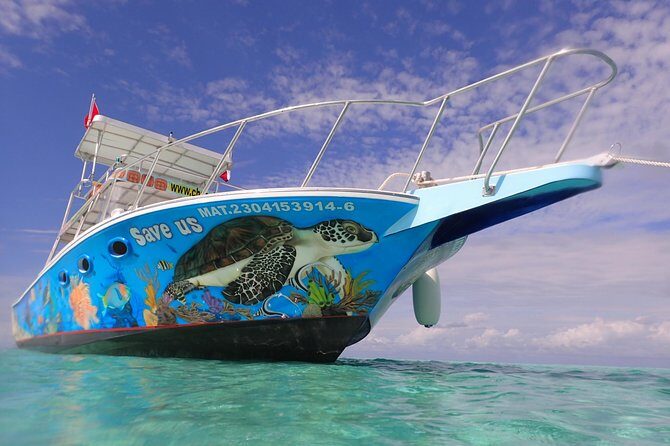 Cozumel Snorkeling Tour at Palancar & Colombia Reefs and El Cielo - Stop 1: Colombia Reef for Sea Turtles, Eagle Rays, and Clear Water