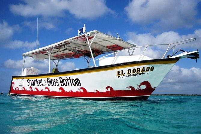Cozumel Snorkeling Tour at Palancar & Colombia Reefs and El Cielo - Stop 3: Playa El Cielo for Starfish and Shallow-Water Wonder