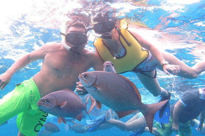 Cozumel Snorkeling Tour at Palancar & Colombia Reefs and El Cielo - Boat Time Matters: Glass-Bottom Views, Beer, and Snacks