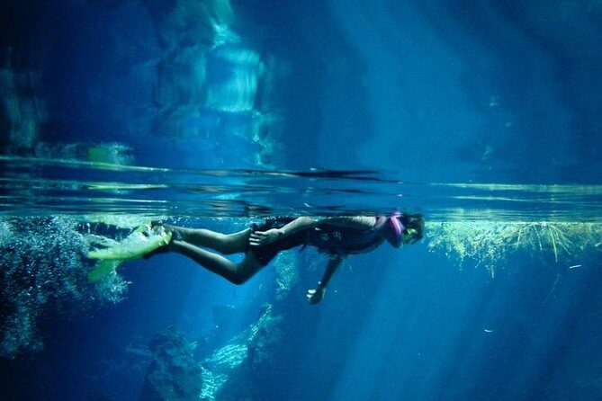 Cozumel Snorkeling Tour from Playa del Carmen - Key highlights to know before you book