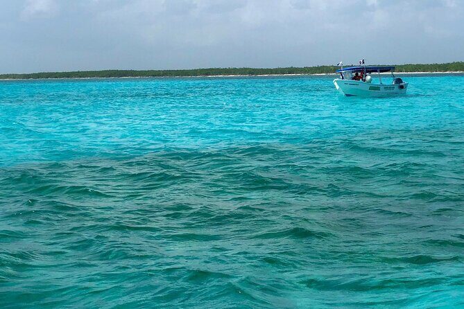 Cozumel Snorkeling Tour: Palancar, Columbia and El Cielo Reefs - The 4-Hour Flow: How This Tour Fits Your Cozumel Day