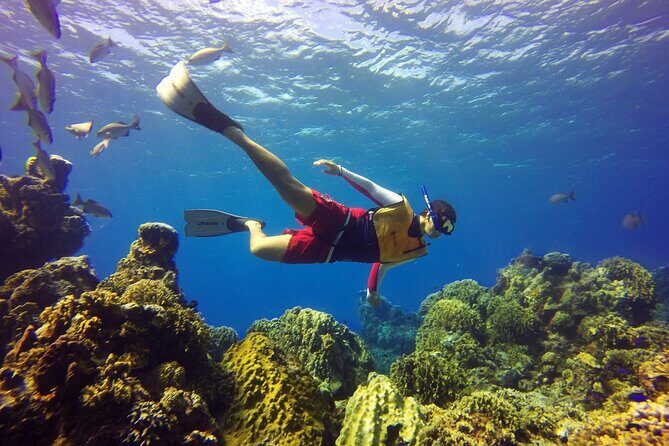 Cozumel Snorkeling Tour: Palancar, Columbia and El Cielo Reefs - Stop 2: Palancar Reef—Your First Big Snorkel Hit