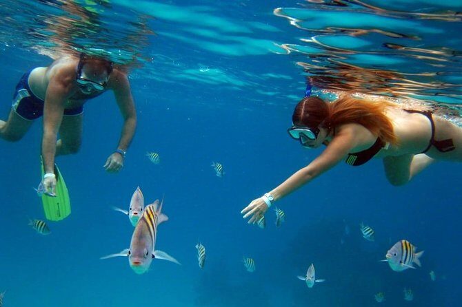 Cozumel snorkeling tour: Palancar, Columbia and El Cielo reefs - Group Size, Pickup Timing, and How to Stay in Control