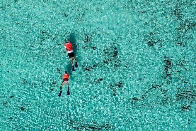 Cozumel: VIP Access Pass at KUZÁ Beach & Adventure Park - Price vs. Value: When This Pass Makes Sense