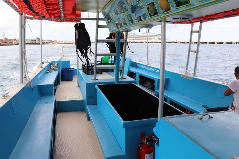 Cozumel: VIP Glass Bottom Boat & Snorkeling 3 Reefs Tour - Why This Cozumel Glass-Bottom and Snorkel Combo Fits Cruise Days