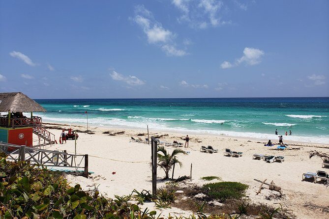 Customizable Private Buggy Tour in Cozumel with Lunch and Snorkel - Rancho Alejandra: tequila tasting plus ranch animals