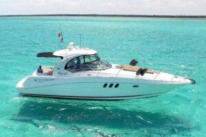 Deluxe Private Boats - 40 ft Sea Ray - The usual plan: south to the reef barrier for calmer snorkel time