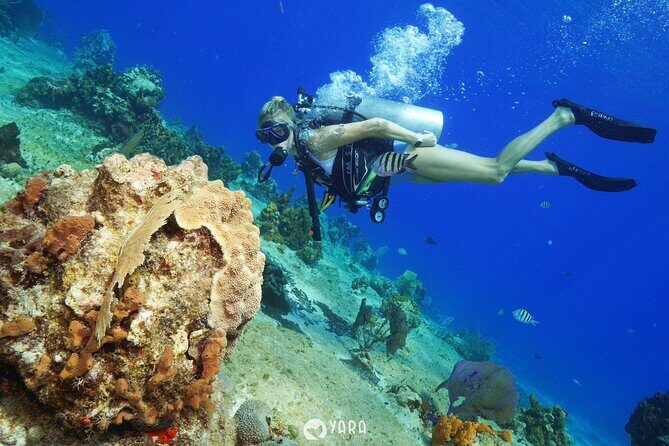 Discover Scuba Diving - The reef time at Tikila Beach: what it feels like in the water