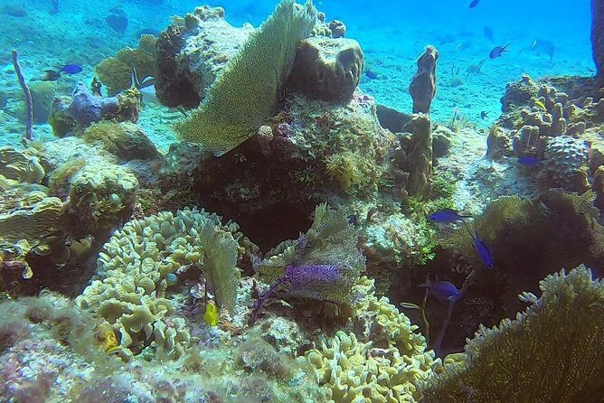 Discover Scuba Diving - Snorkeling after scuba: stretching the day without extra cost
