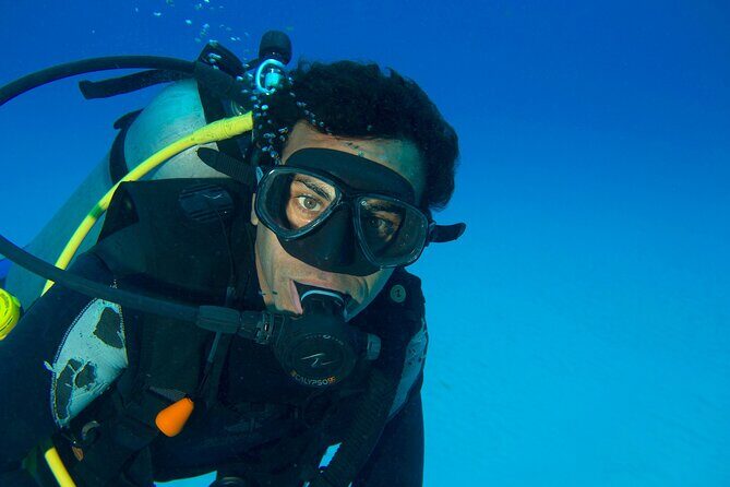 Discover Scuba Diving & Beach Club with Transportation In Riviera Maya - Price and the real cost: $150 plus the dock fee