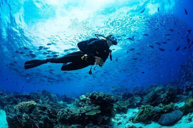 Discover Scuba Diving & Beach Club with Transportation In Riviera Maya - Safety first: who should skip this session