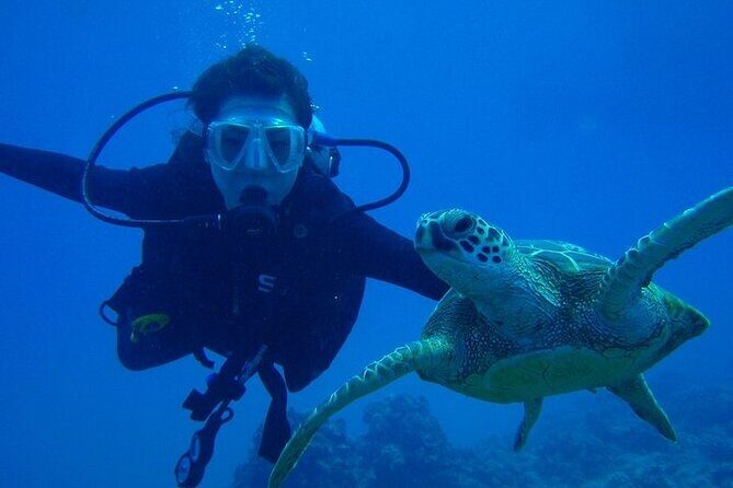 Discover Scuba Diving & Beach Club with Transportation In Riviera Maya - Instructors and nerves: what to expect when you’re scared