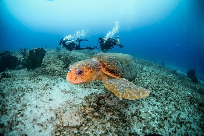Discover Scuba Diving & Beach Club with Transportation In Riviera Maya - Group size and comfort: why the cap of 10 matters