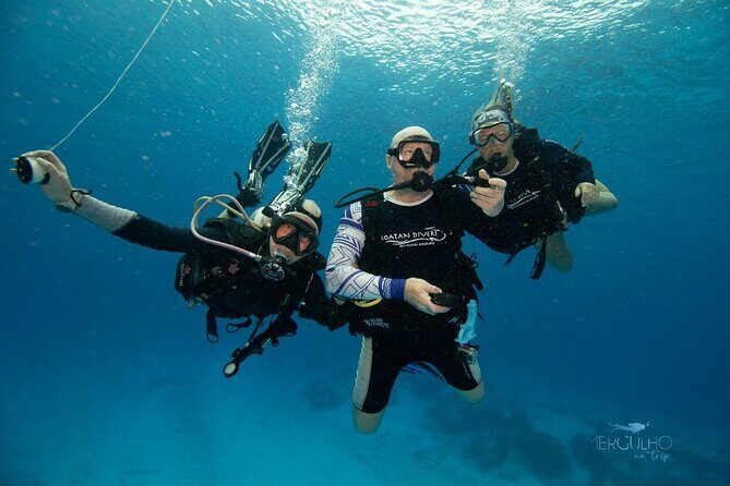 Discover Scuba Diving in Cozumel - Meeting at Tikila BarCarreta: plan your arrival smart