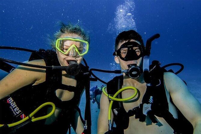 Discover Scuba Diving in Cozumel Paradise Reef - What you’re likely to see on Paradise Reef (and how to spot it)