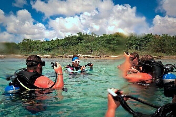 Discover Scuba Diving in Cozumel Paradise Reef - Logistics that can make or break your day: Marina Fonatur and cruise timing