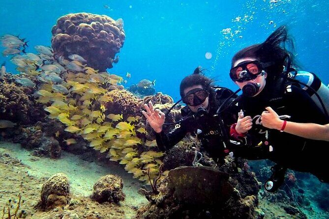 Discover Scuba Diving in Cozumel Paradise Reef - Value: what you get for your money (and why it fits beginners)