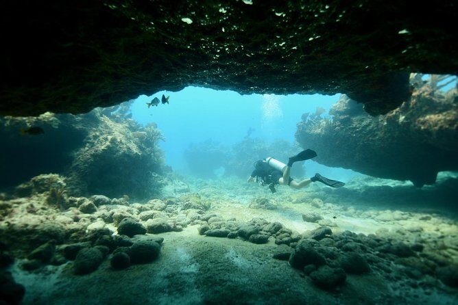 Discover Scuba Diving in Tulum - The 30-Minute Class, Safety Basics, and Skill Practice