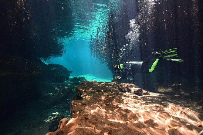 Discover Scuba Diving in Tulum - Equipment Included: Why That Matters More Than You Think