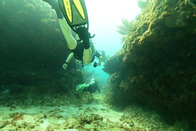 Discover Scuba Diving in Tulum - Instruction and Supervision: The Human Part of Safety