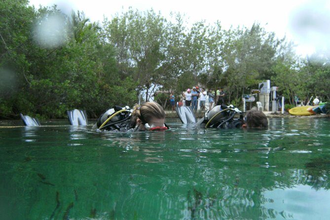 Discover Scuba Diving in Tulum - Price and Value: Is $140 Fair for a First-Time Setup?