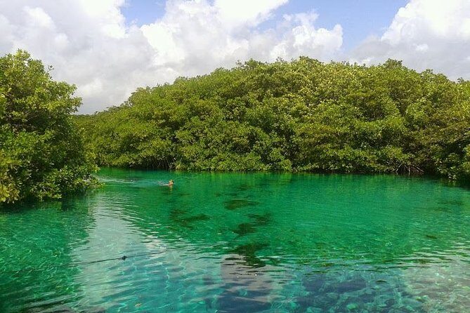 Discovery Scuba Diving - Casa Cenote: What It Feels Like and What You’ll See