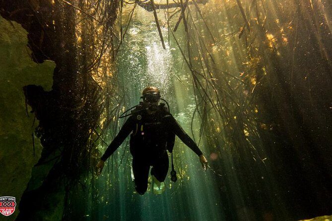 Discovery Scuba Diving - Your Day’s Flow: Timing, Transport, and Where to Meet