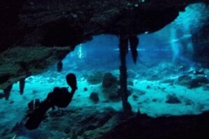 Dos Ojos Cenote Cavern Dive- The Barbie Line and The Bat Cave - Meeting point, 8:00 am start, and the jungle drive reality