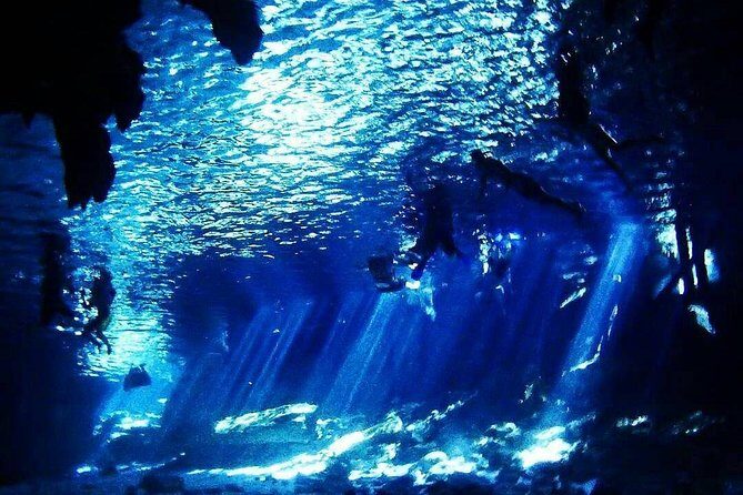 Dos Ojos Cenote Cavern Dive- The Barbie Line and The Bat Cave - Bat Cave: the darker mood, same controlled rules