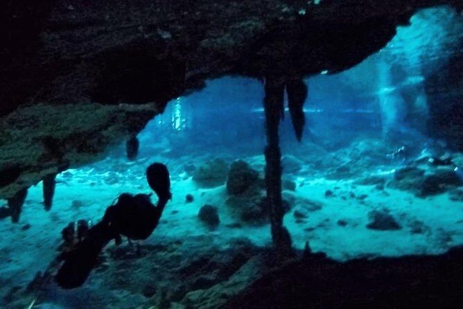 Dos Ojos Cenote Cavern Dive- The Barbie Line and The Bat Cave - Meeting point, 8:00 am start, and the jungle drive reality