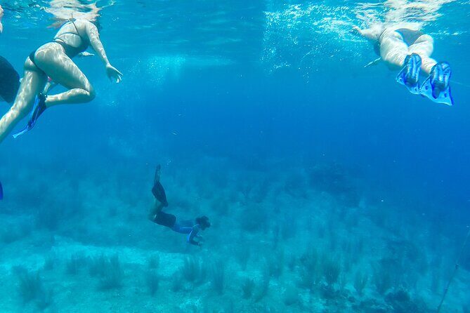 E-bike West Coast Snorkeling Tour - Stop 2: Bike to a Botanical Mayan Garden (Culture in 45 Minutes)