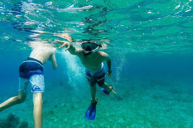 E-bike West Coast Snorkeling Tour - Price and Value: What $73 Buys (and What It Doesn’t)