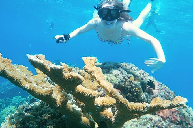 El Cielo Cozumel Snorkel Private Boat + Food + Drinks + Beach - Meeting at San Francisco Beach Club: why the start matters