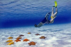 El Cielo Cozumel Snorkel Share Boat + Reefs + Food Drinks + Beach - San Francisco Beach Club: your easy starting point