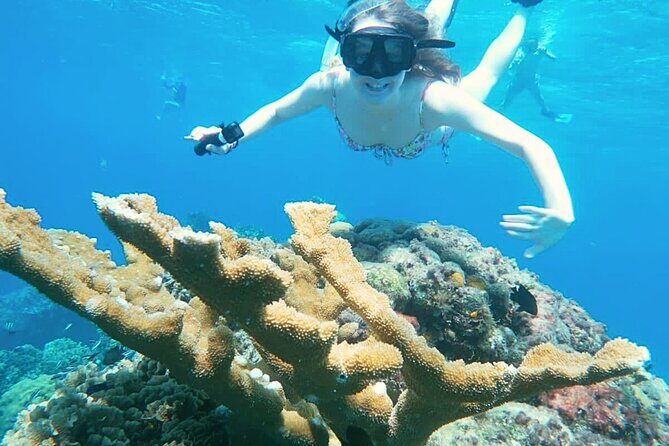 El Cielo Cozumel Snorkel Share Boat + Reefs + Food Drinks + Beach - Parque Nacional Arrecifes de Cozumel: what makes these reefs worth it