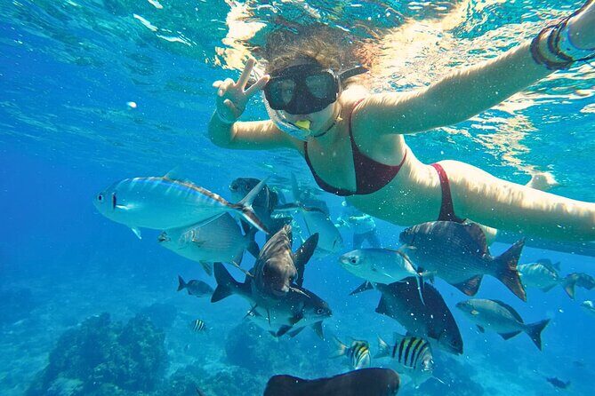 El Cielo Cozumel Snorkel Share Boat + Reefs + Food Drinks + Beach - Fresh ceviche, guacamole, tropical fruit, and cold drinks