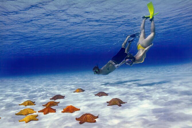 El Cielo Cozumel Snorkel Share Boat + Reefs + Food Drinks + Beach - San Francisco Beach Club: your easy starting point