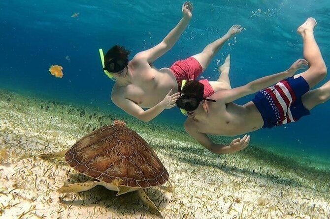 El Cielo Cozumel Snorkel tour by Catamaran - Quick Key Points Before You Go